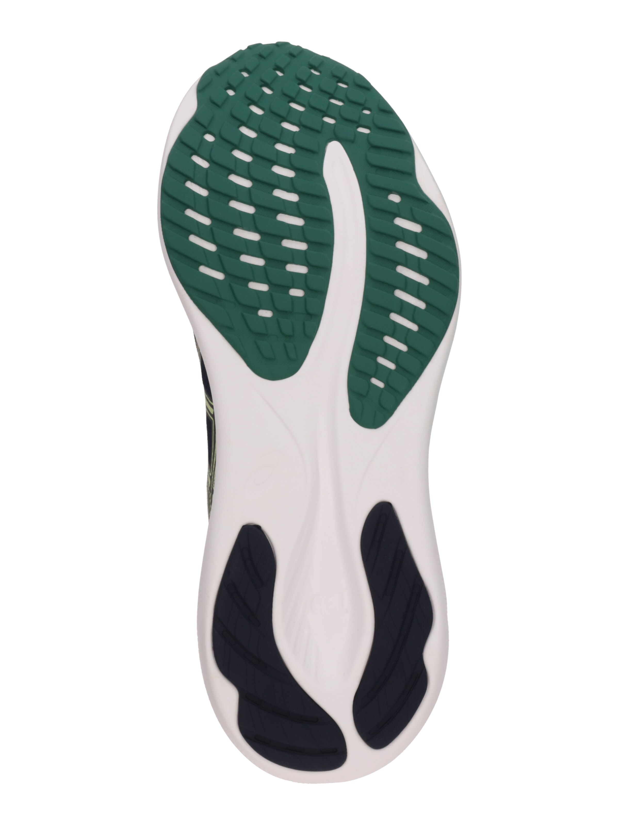 ASICS Springsko 'Gel-Pulse 16' i blå