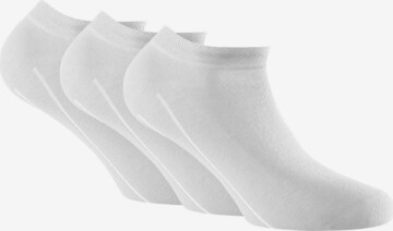 Chaussure basse Rohner Socks en blanc