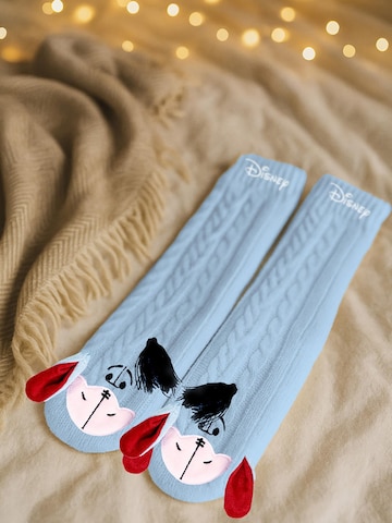Disney Winnie Puuh Socken 'Hüttensocken'‌ in Blau