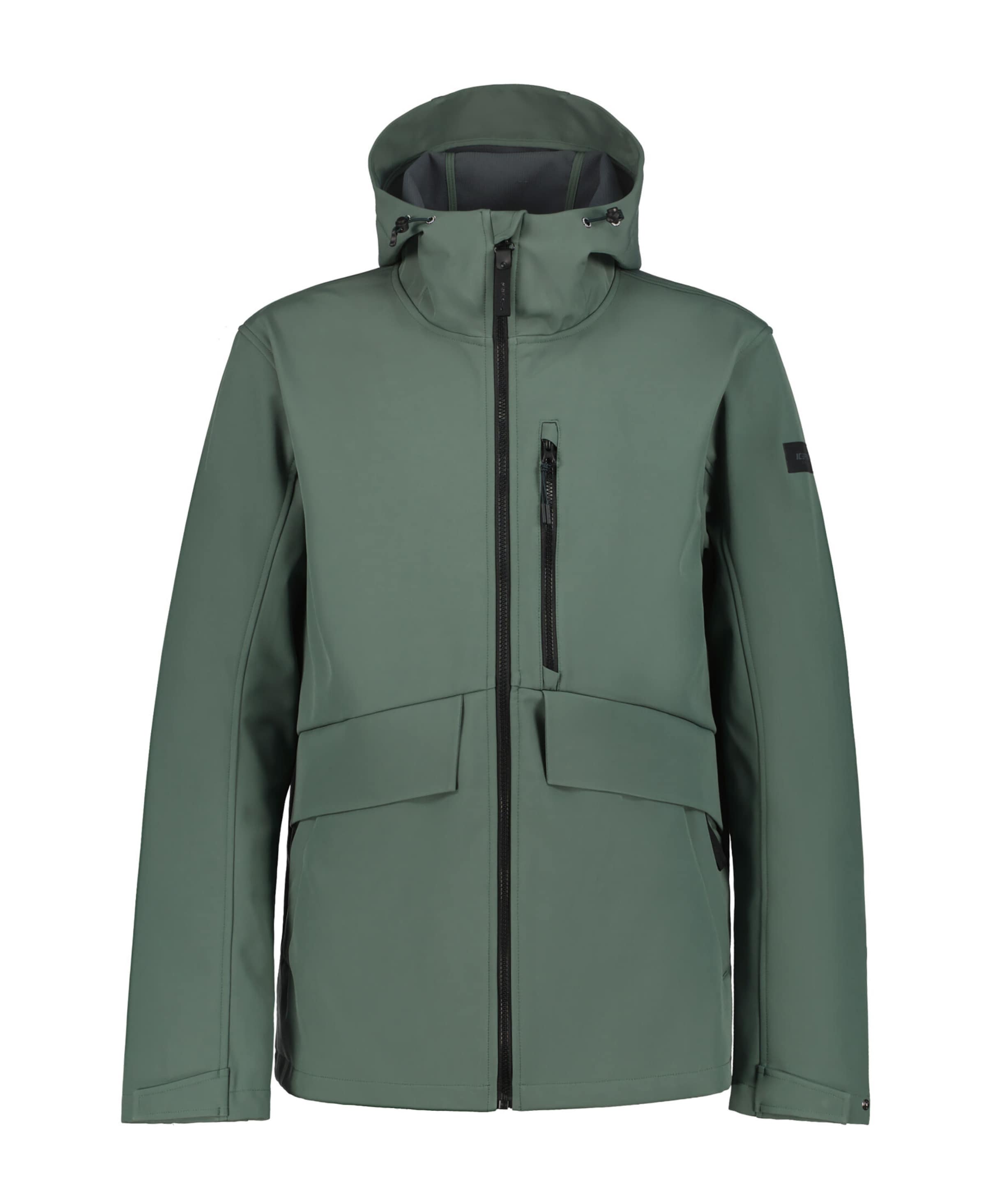 ICEPEAK - Chaqueta de montaña 'Adono' en verde: frente
