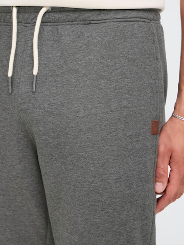Regular Pantalon ' SDSIMAS ' !Solid en gris