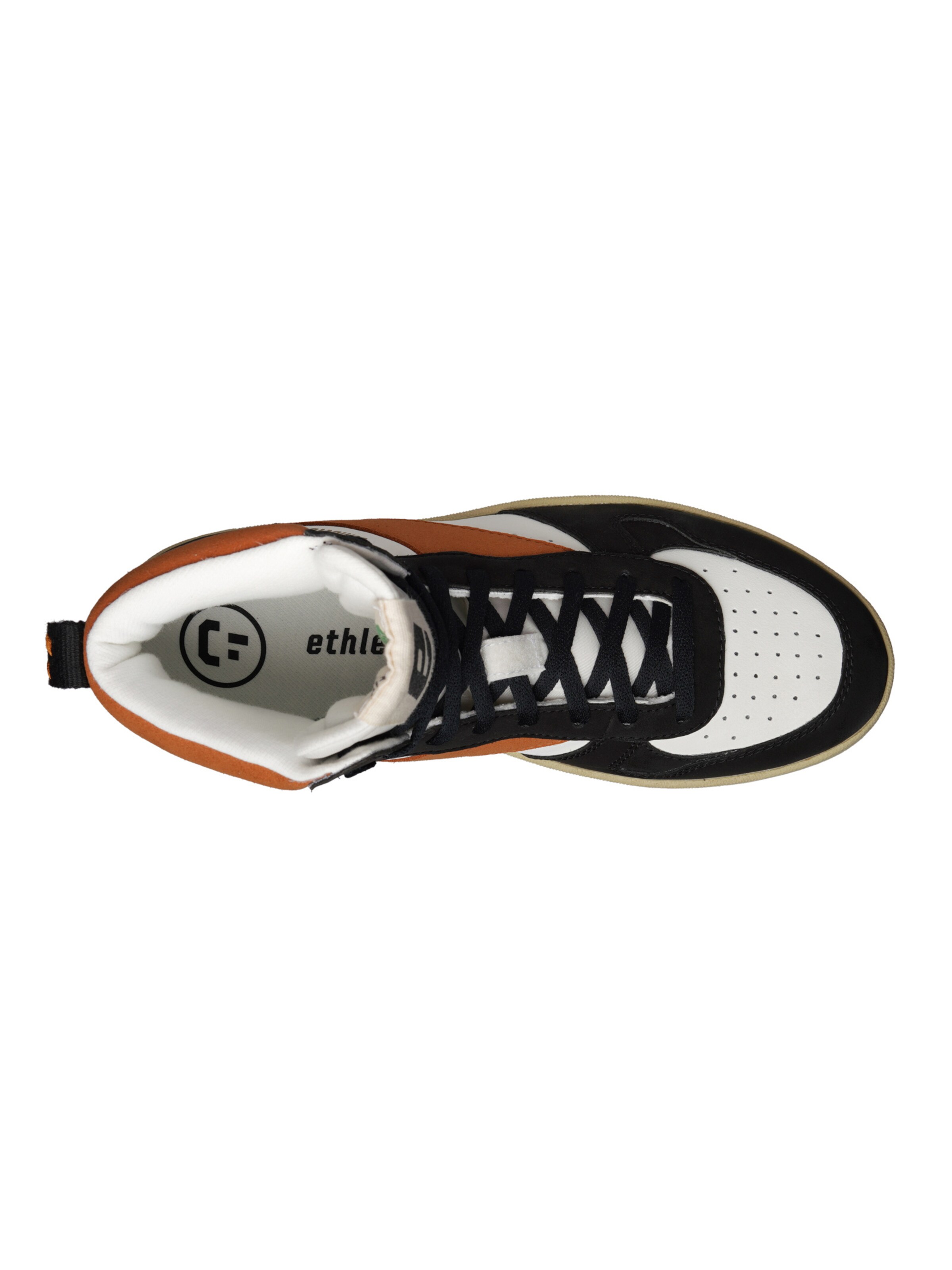Ethletic Sneaker 'Carl' in Braun