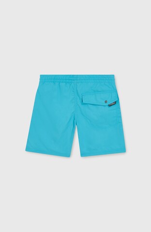 O'NEILL Board Shorts 'Vert 14' in Blue