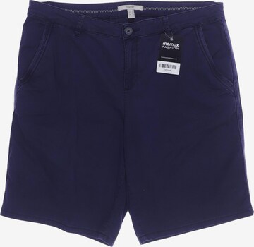 ESPRIT Shorts L in Blau: predná strana
