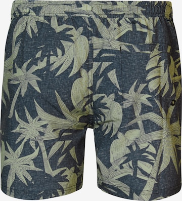 Petrol Industries Swim Trunks in Green