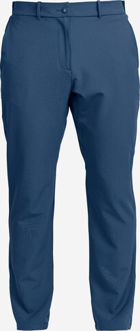 Backtee Pants in Blue: front