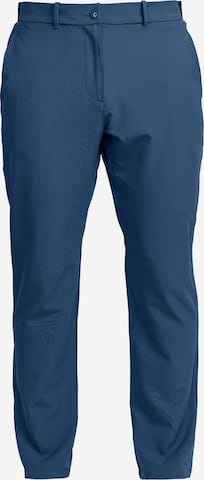 Backtee Athletic Pants in Blue: front