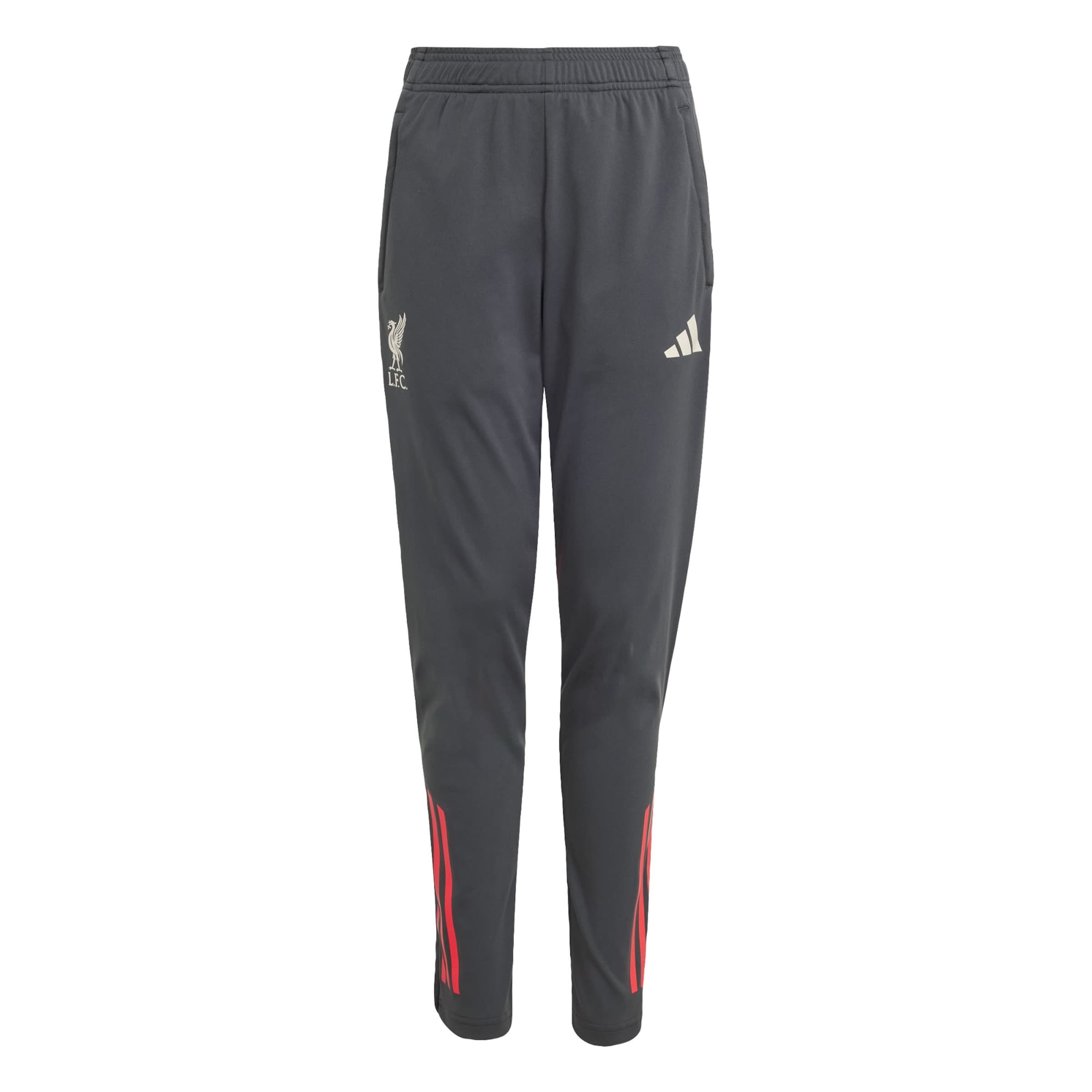 ADIDAS PERFORMANCE - Slimfit Pantalón deportivo 'FC Liverpool Tiro 25 Competition' en gris: frente