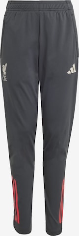 Coupe slim Pantalon de sport 'FC Liverpool Tiro 25 Competition' ADIDAS PERFORMANCE en gris : devant