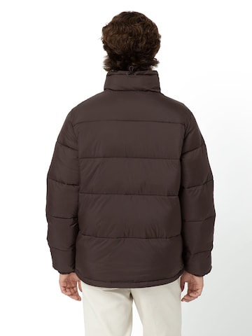 DICKIES Winter jacket 'WALDENBURG' in Brown