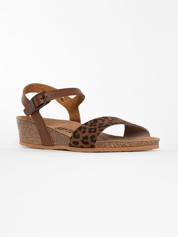 Bayton Sandal 'Wodonga' in Brown