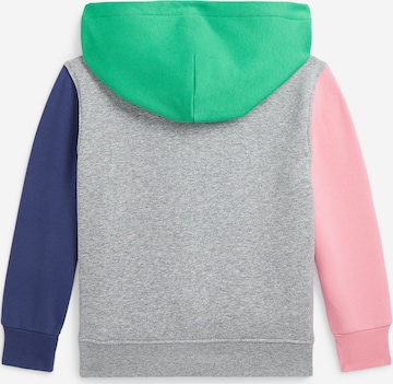 jauktas krāsas Polo Ralph Lauren Sportisks džemperis