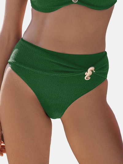love & roses Bikinibroek in de kleur Groen, Productweergave