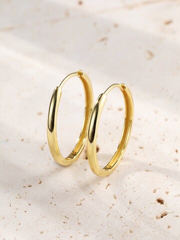 Hey Happiness Oorbel 'Mid Chunky' in Goud