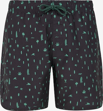 PROTEST Board Shorts 'PRTSAUL JR' in Grey: front
