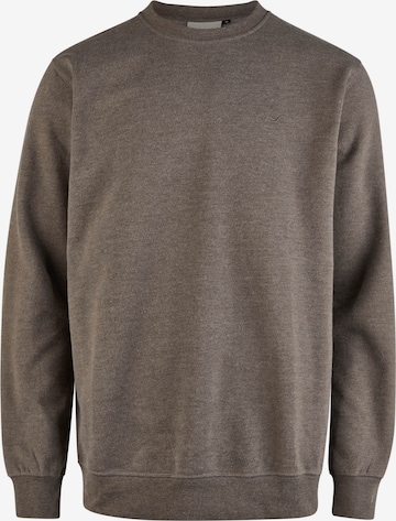 Cleptomanicx Sweatshirt 'Ligull' in Brown: front