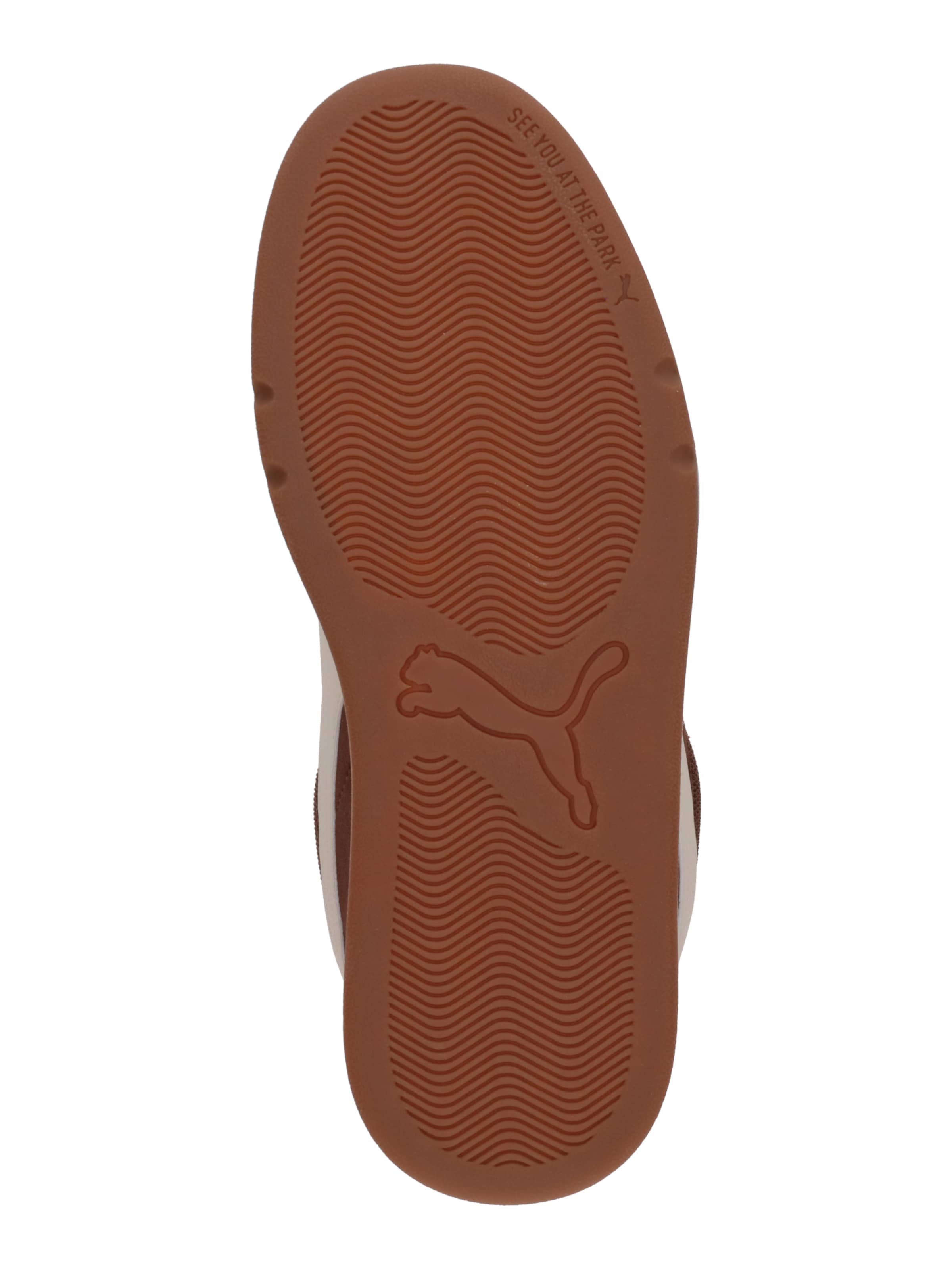 PUMA Низкие кроссовки 'Park Lifestyle SK8' в Коричневый