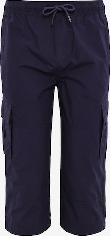 Threadbare Cargobroek 'Bruce' in Blauw: voorkant