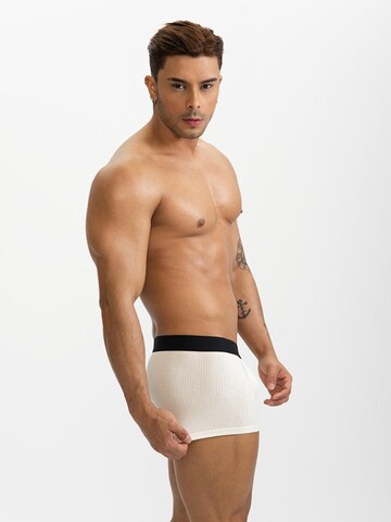 BIMONI Boxer shorts in White
