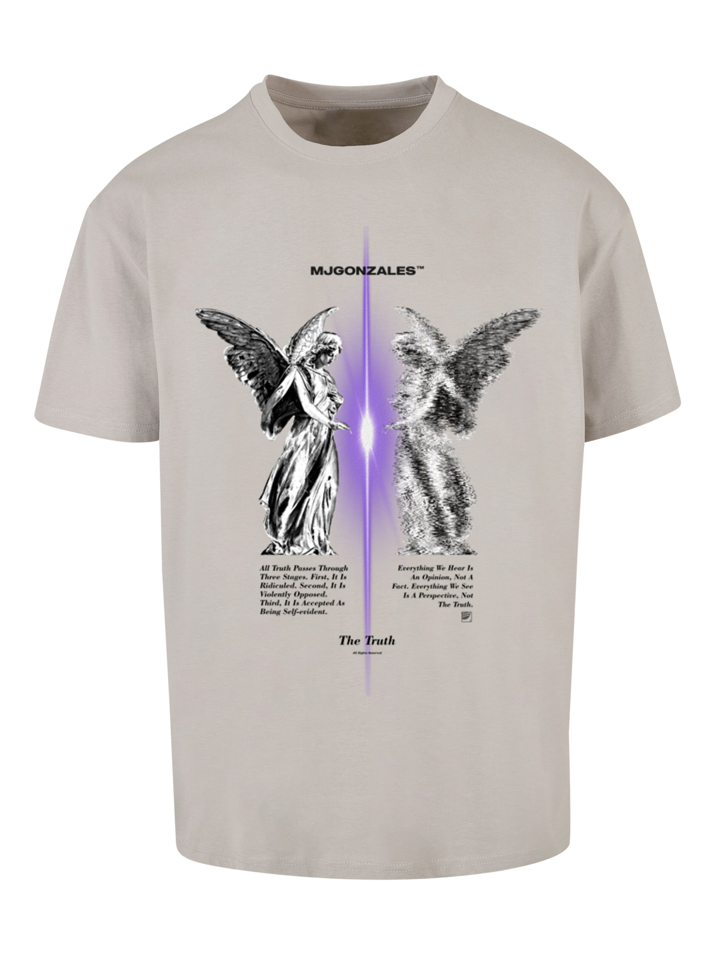 MJ Gonzales Bluser & t-shirts 'The Truth V.1' i grå: forside