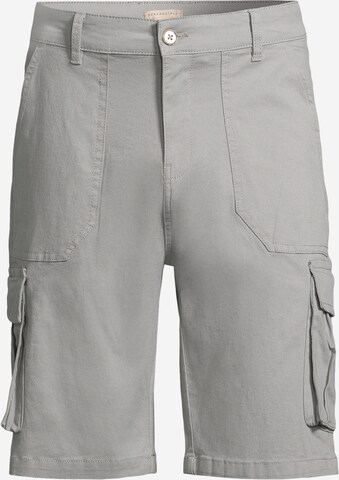 AÉROPOSTALE Cargo trousers in Grey: front