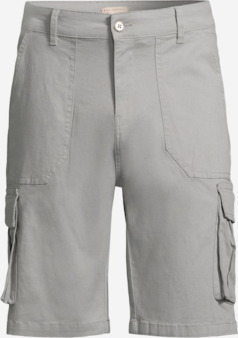 Pantalon cargo AÉROPOSTALE en gris : devant