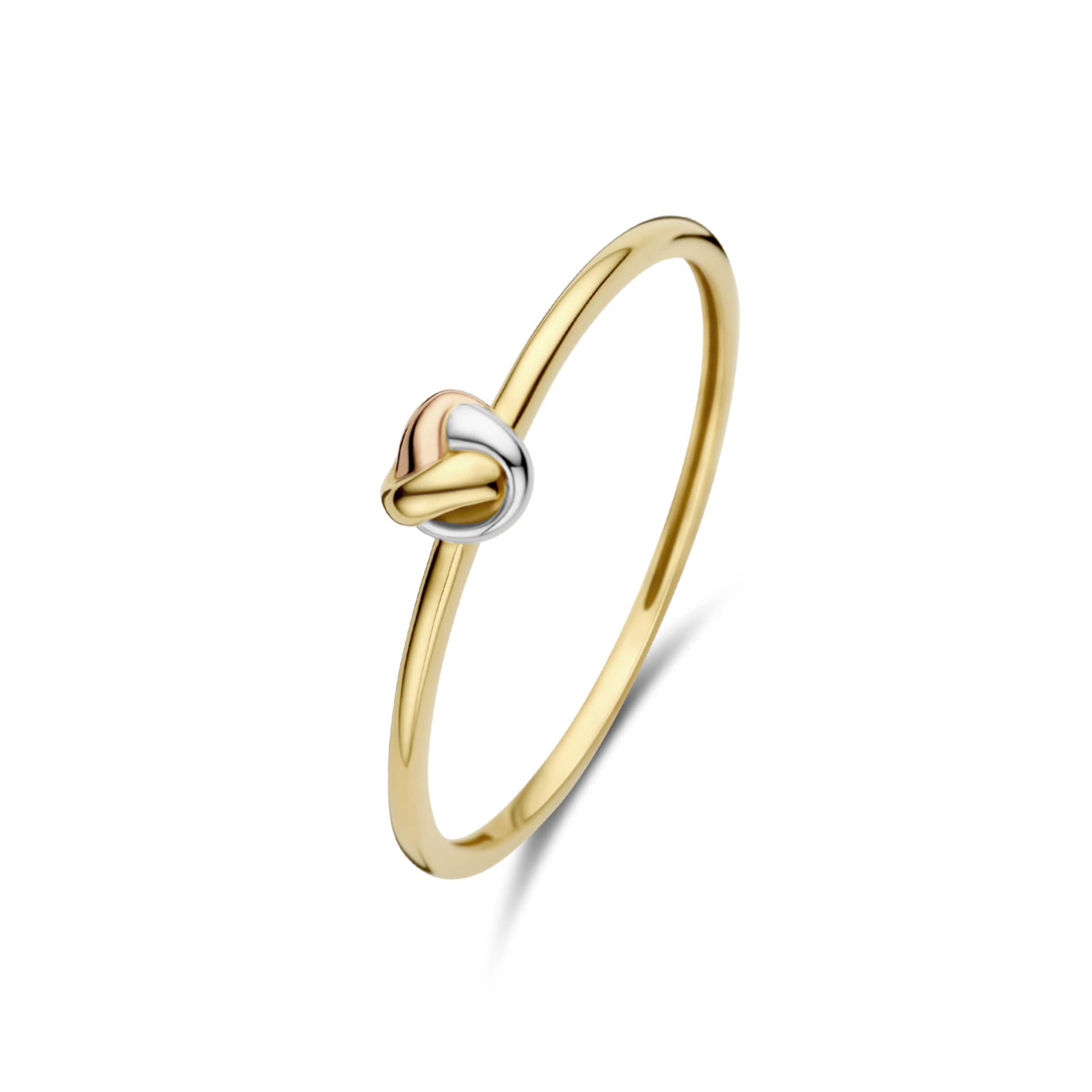 Beloro Jewels Ring in Gold: front