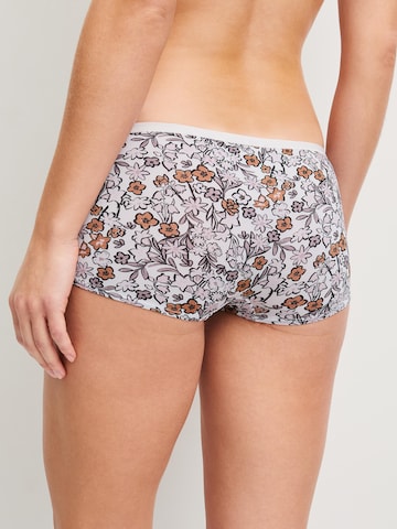CALIDA Boyshorts 'Eco Sense' in Purple