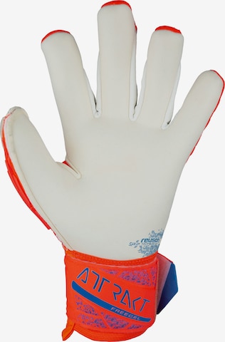 REUSCH Athletic Gloves 'Attrakt Gold X Freegel' in Orange