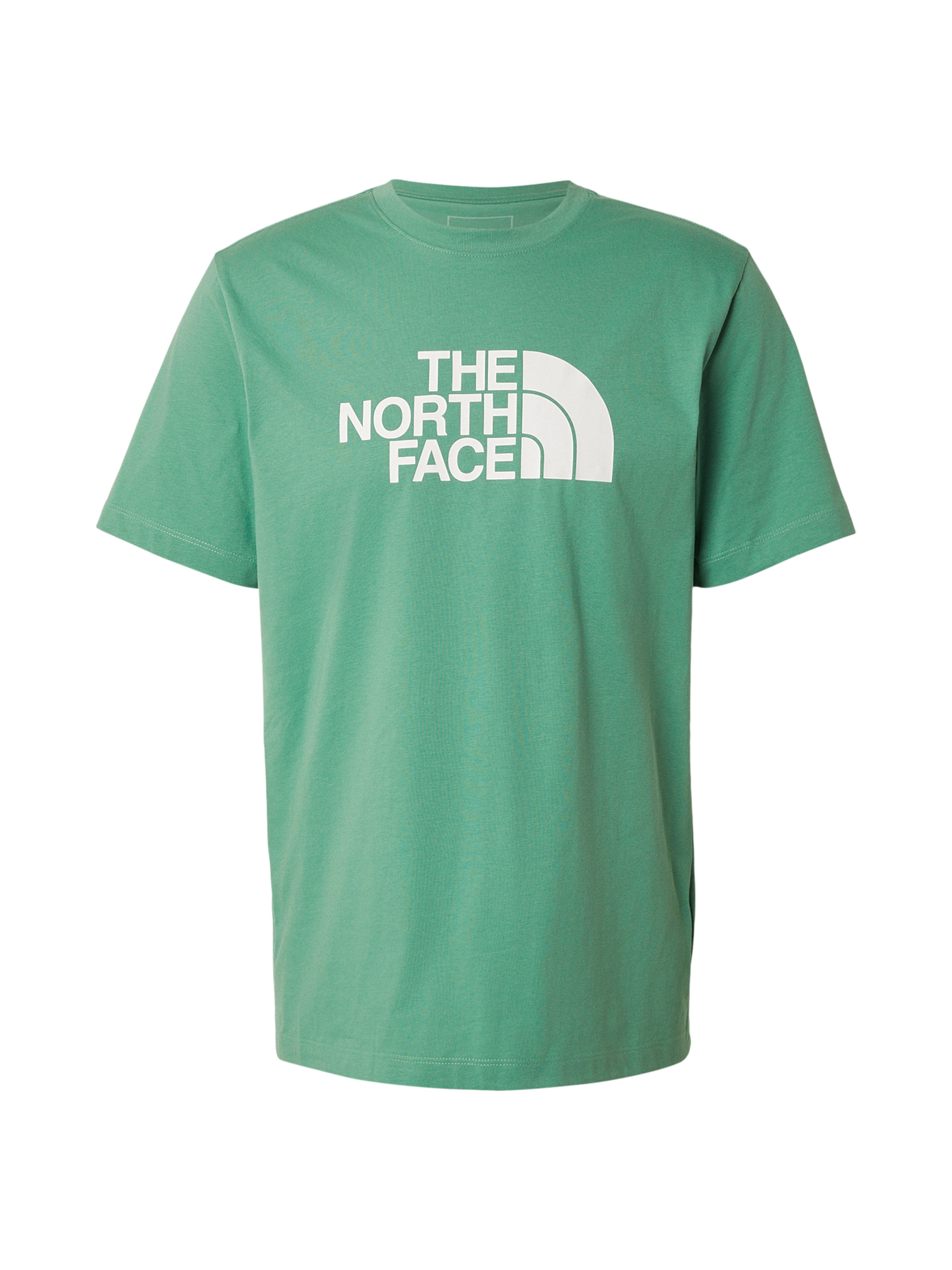 THE NORTH FACE Póló 'EVOLUTION HALF DOME' - zöld: elől