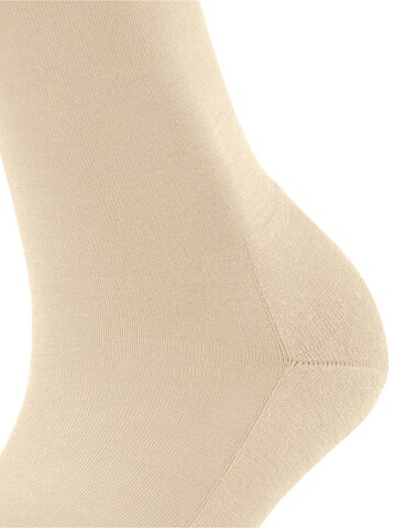 FALKE Socks 'ClimaWool' in Beige