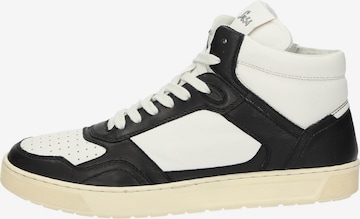 SIOUX Sneakers hoog 'Tedroso-705' in Zwart