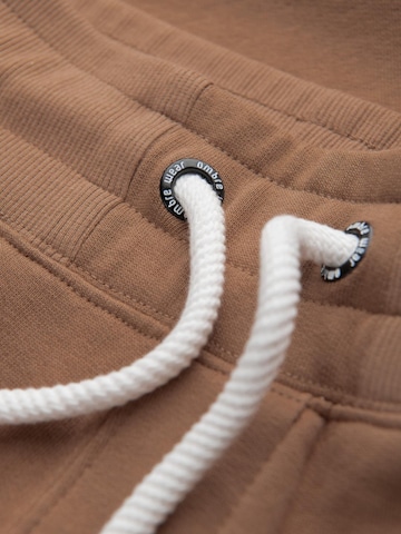Ombre Regular Sportbroek in Bruin