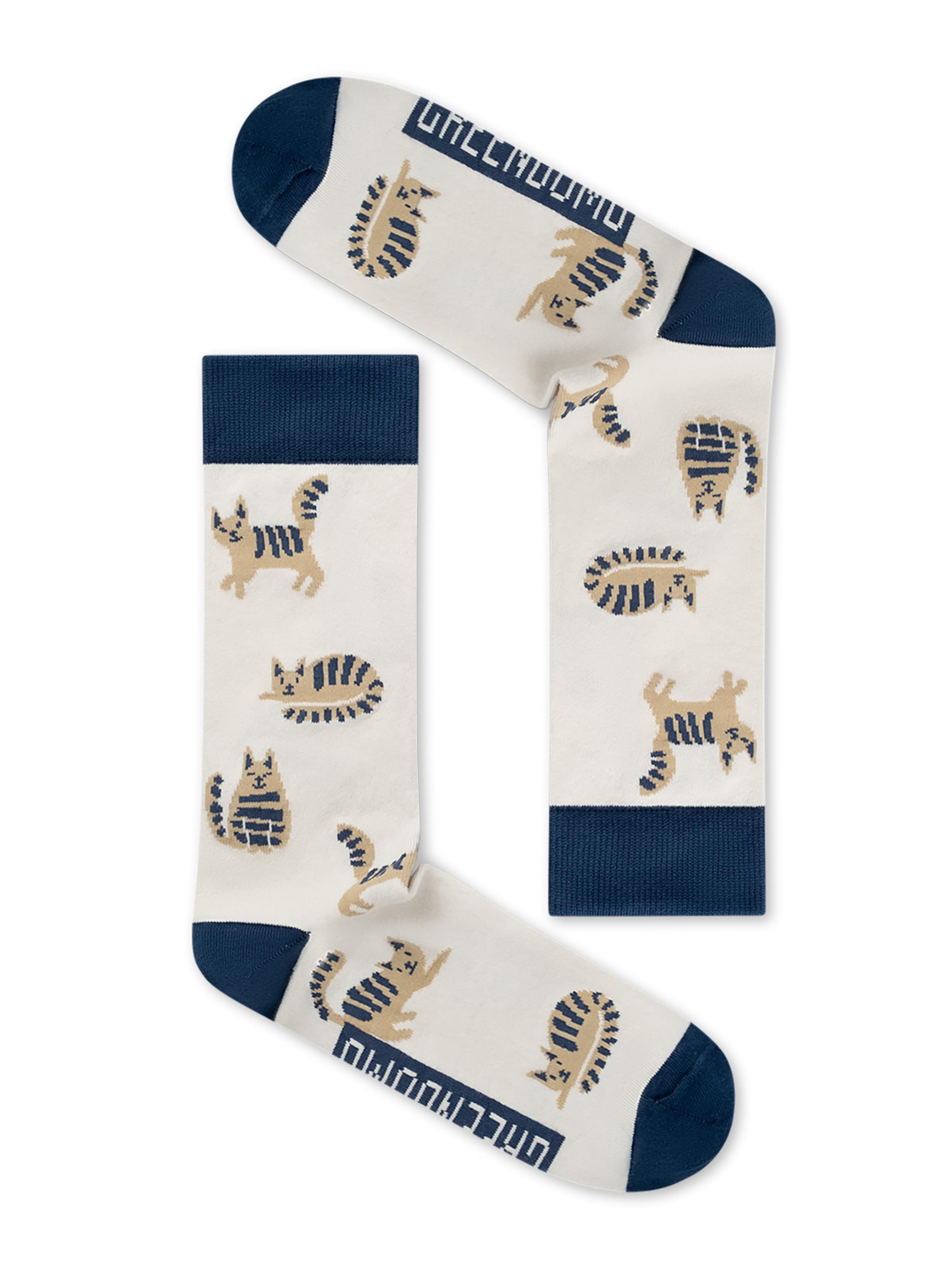 GREENBOMB Socken 'Cats' in Weiß: Vorderseite