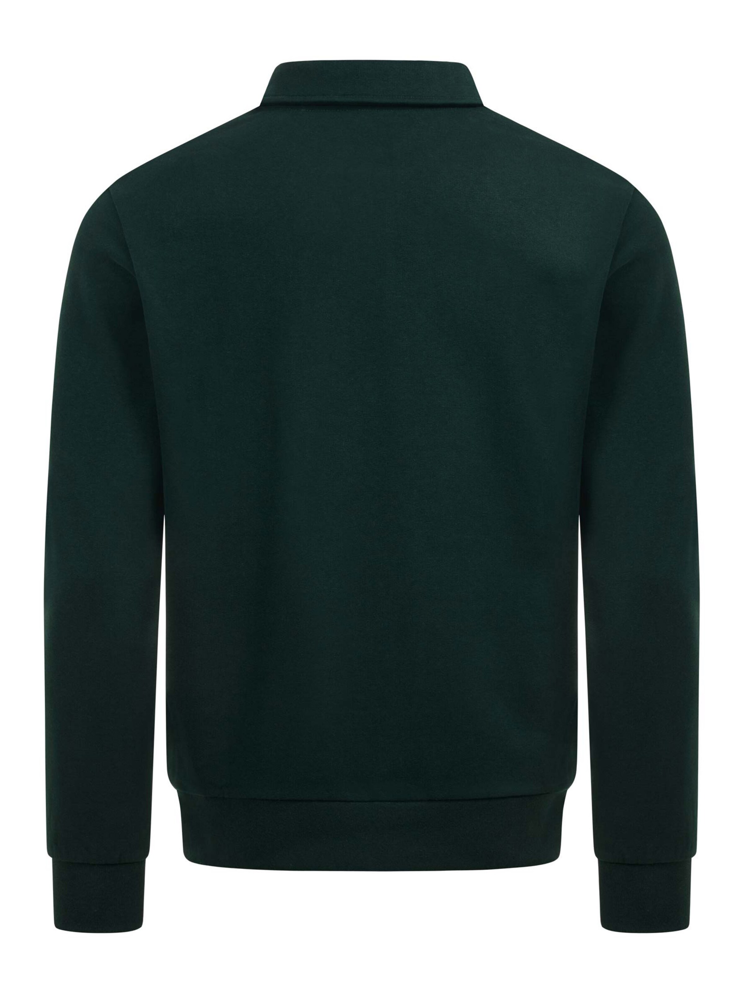U.S. POLO ASSN. Sweatshirt in Green