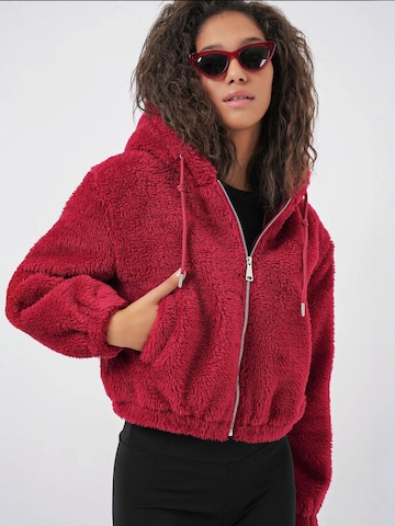 Veste mi-saison 'Kapuzenpullover' Bigdart en rouge