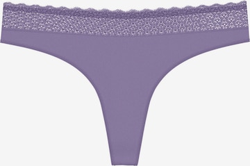 TRIUMPH String ' Red Label Feel of Modal ' in Lila: voorkant