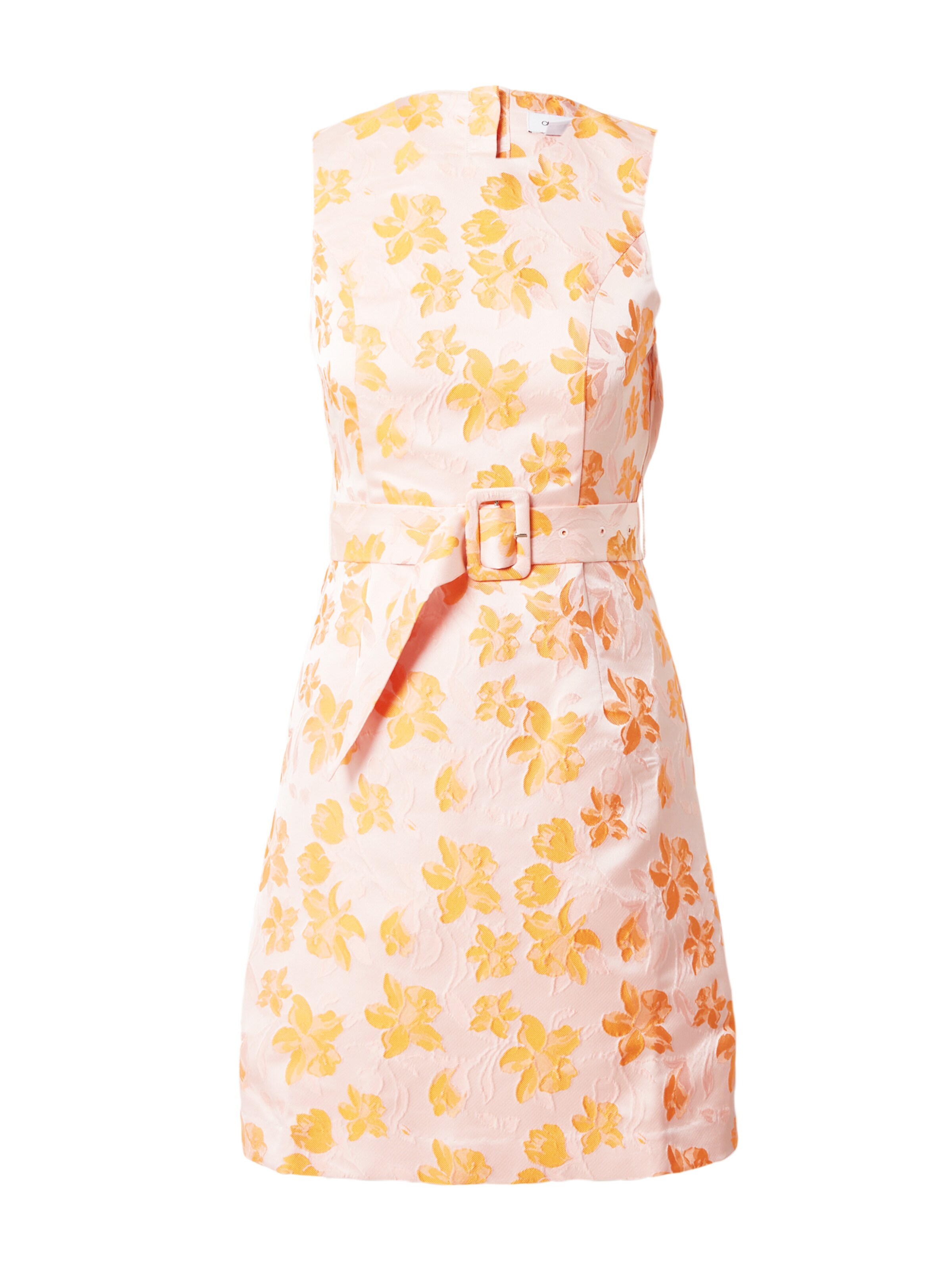 Coast Φόρεμα σε ανάμεικτα χρώματα: μπροστά