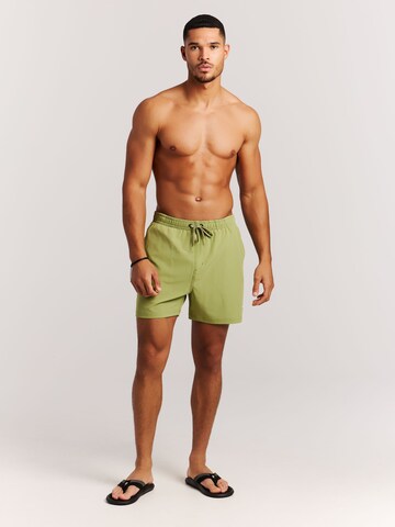 PROTEST Board Shorts 'PRTIgapo' in Green