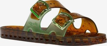 Zoccoletto di SENSI in verde: frontale