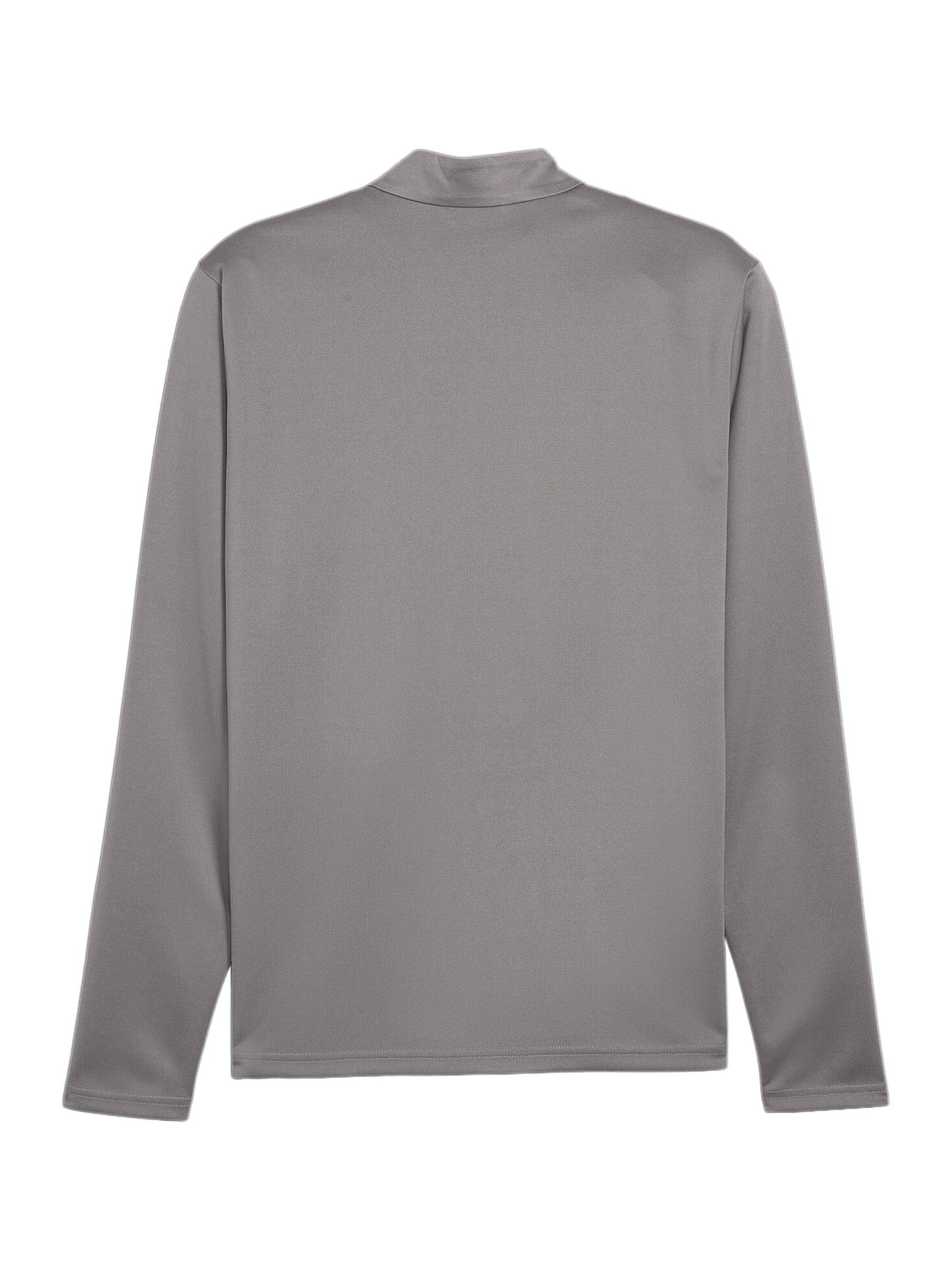 PUMA Performance Shirt 'TeamGoal' in Grey