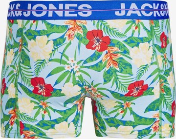 Jack & Jones Plus Boxershorts 'PINEAPPLE' in Blauw