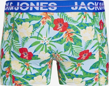 Jack & Jones Plus Boxer shorts 'PINEAPPLE' in Blue