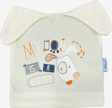 Aliap Beanie in Beige: front