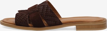 VENEZIA Mules in Brown: front