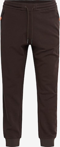 Effilé Pantalon chino Salsa Jeans en marron : devant