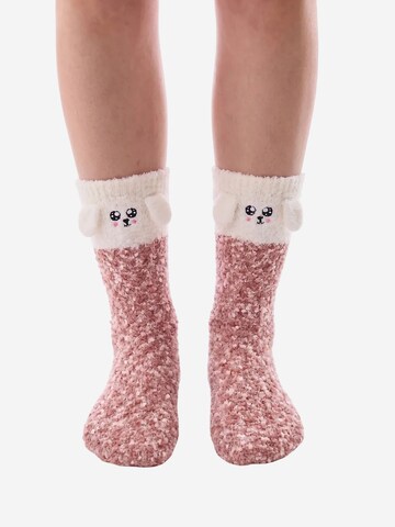 Penti Socken 'PENTI Happiness Socken mit Hundemotiv'‌‌ in Mischfarben: Vorderseite