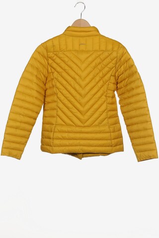 Joules Jacket & Coat in L in Yellow
