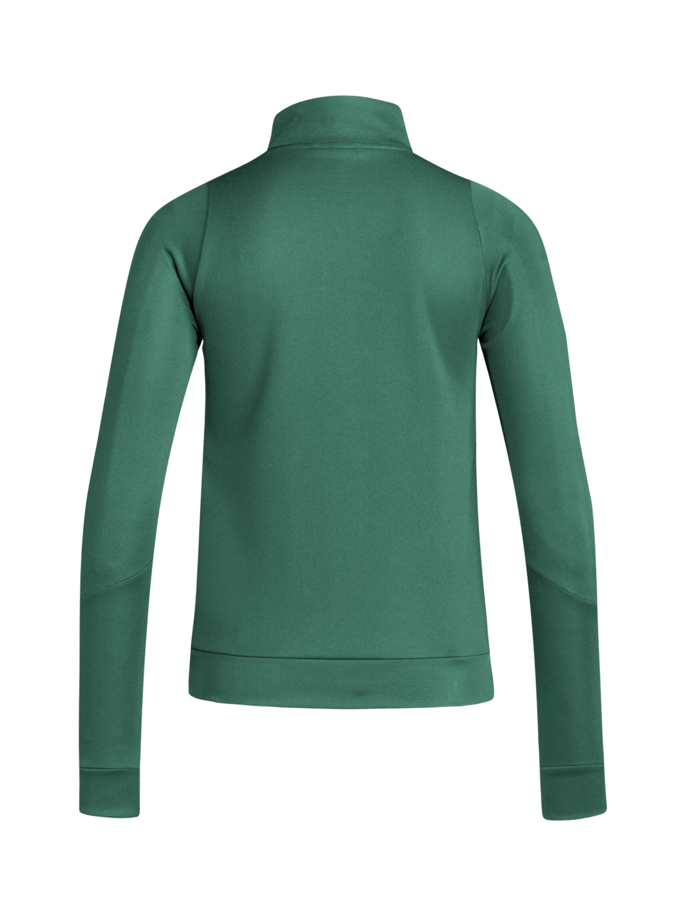 ADIDAS PERFORMANCE Training Jacket 'Tiro' in Green