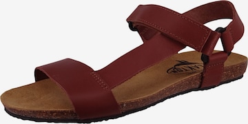 Sandales Plakton en rouge : devant